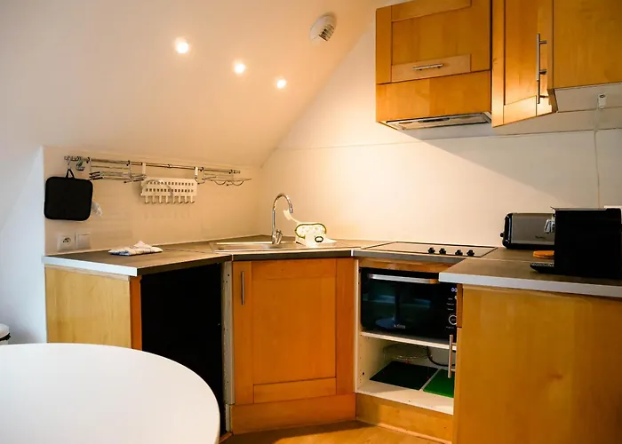 Apartment Le Forestier - Hypercentre - Garage *